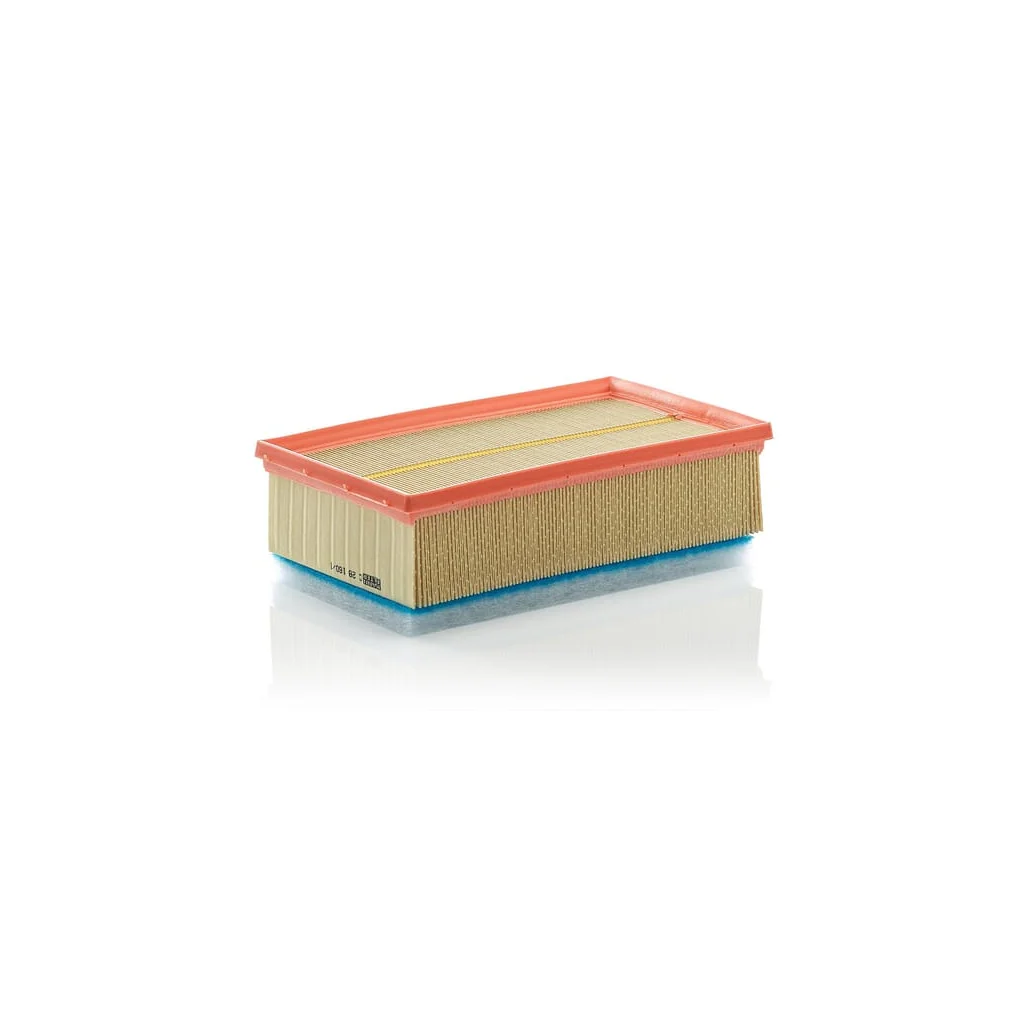 [AMAT2-264055] Element filtru aer C281601