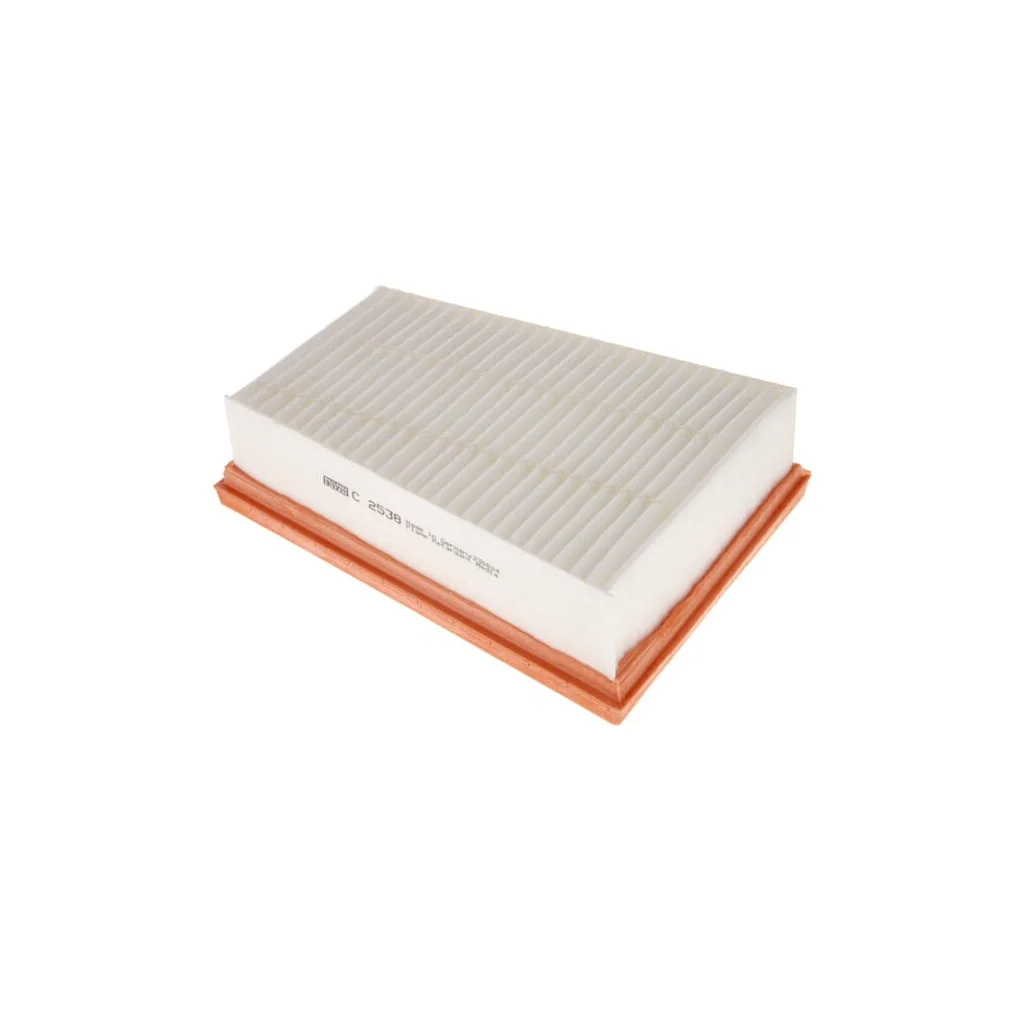 [AMAT2-264077] Filtru aer C2538