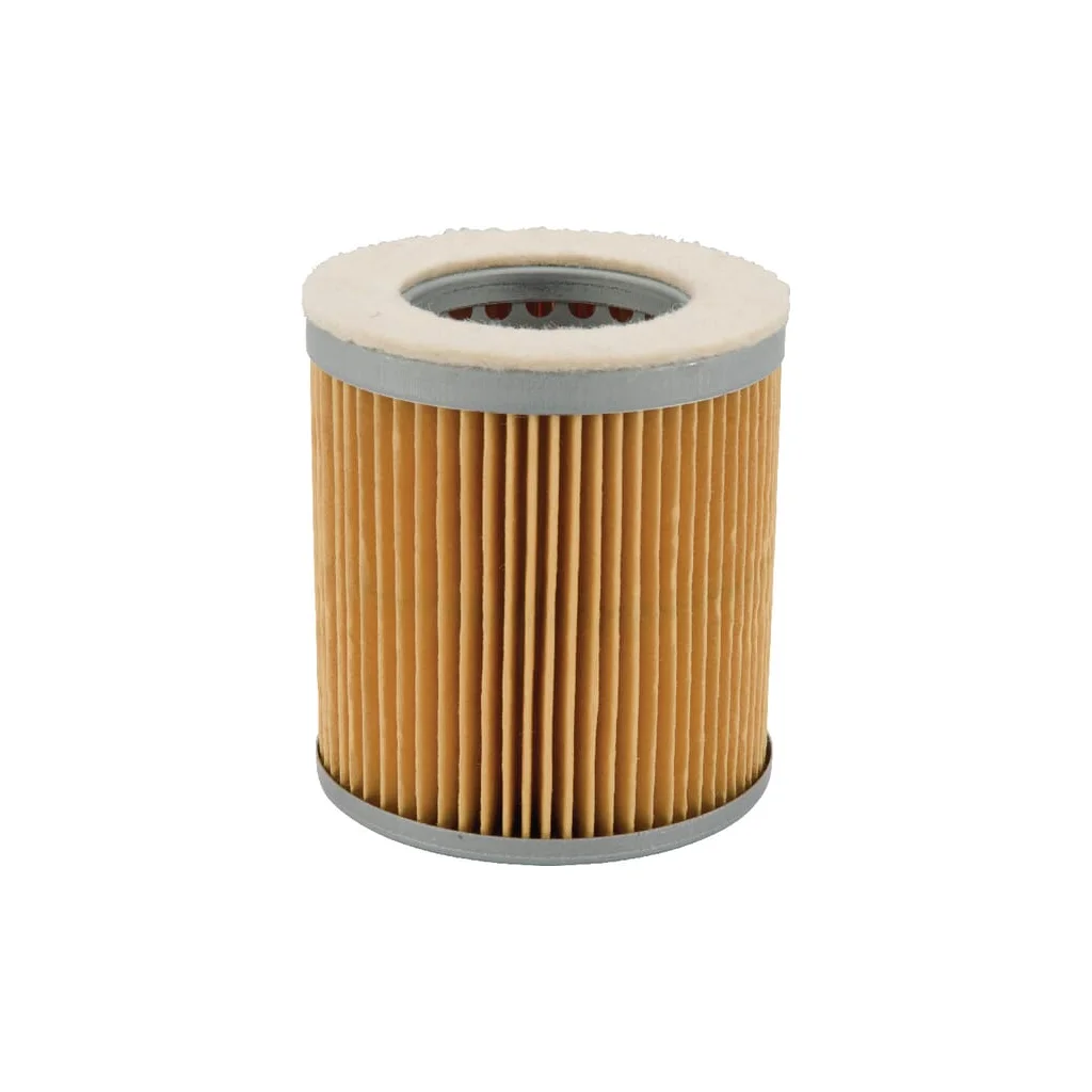 [AMAT2-264168] Element filtru aer C752