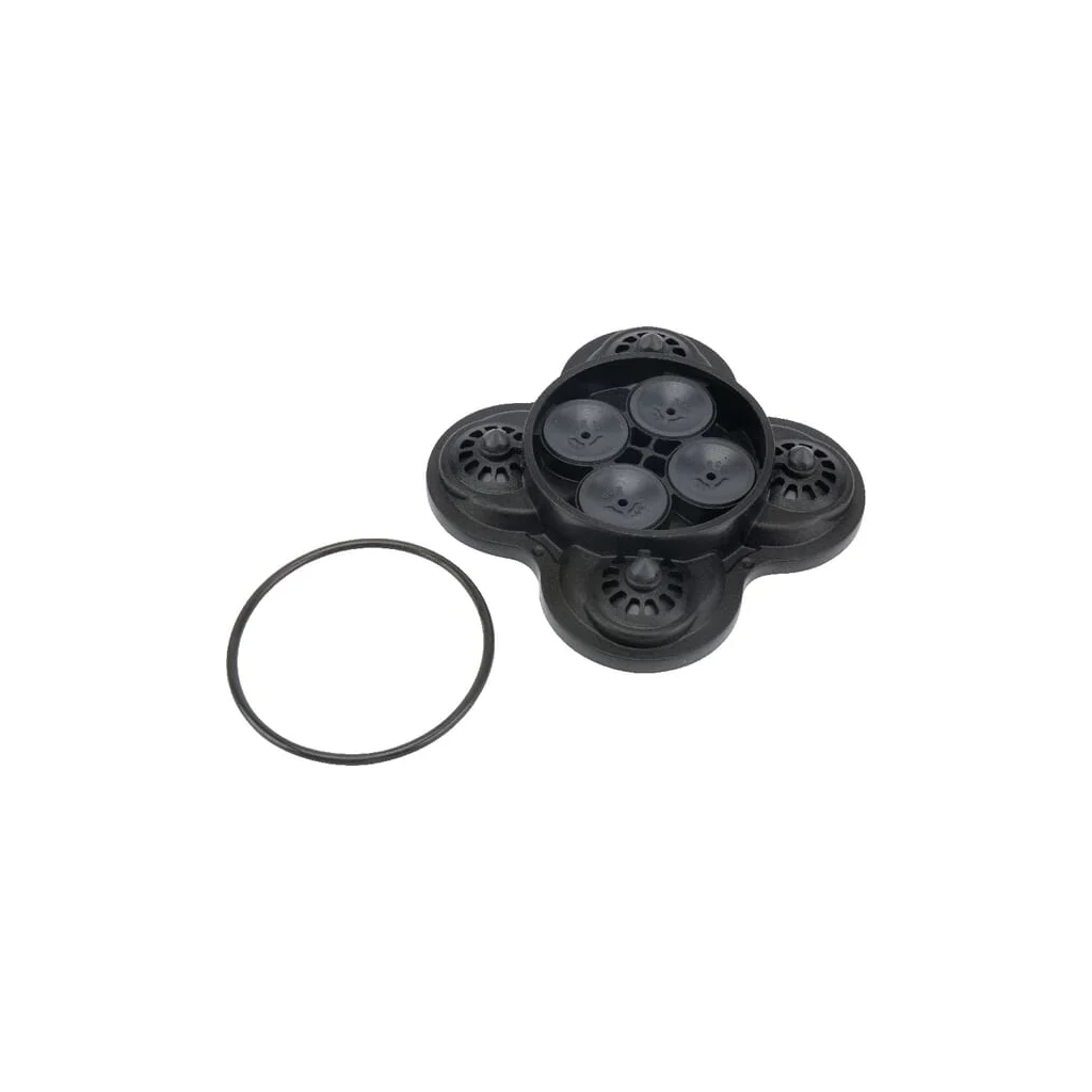 Kit supapă complet Shurflo DIP9491005