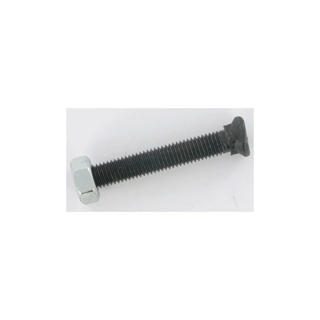 [AMAT2-272241] Șurub pentru brăzdar M10x70 CP1070