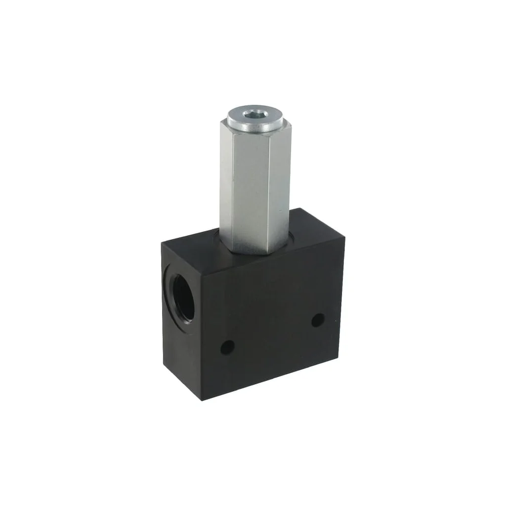 [AMAT2-272385] Ventil de reglare a presiunii CP200-1 1/2"BSP CP2001003
