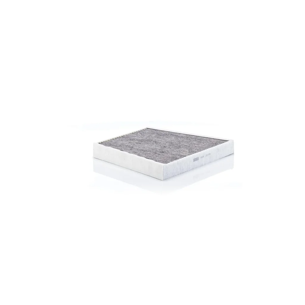 [AMAT2-273239] Filtru intern cu cărbune activ CUK3172