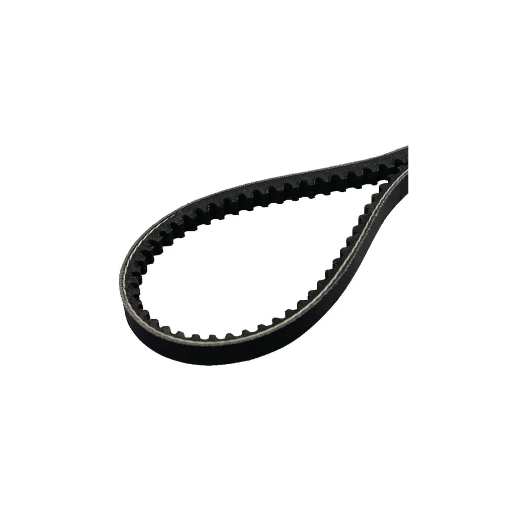 Curele de transmisie trapezoidală E10455ASM