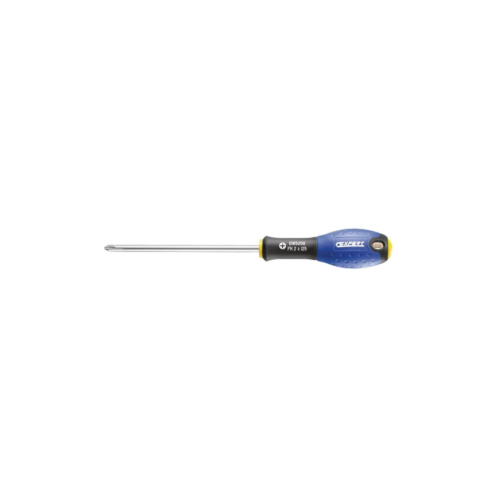 [AMAT2-279738] Şurubelniță PH1x100 E165207