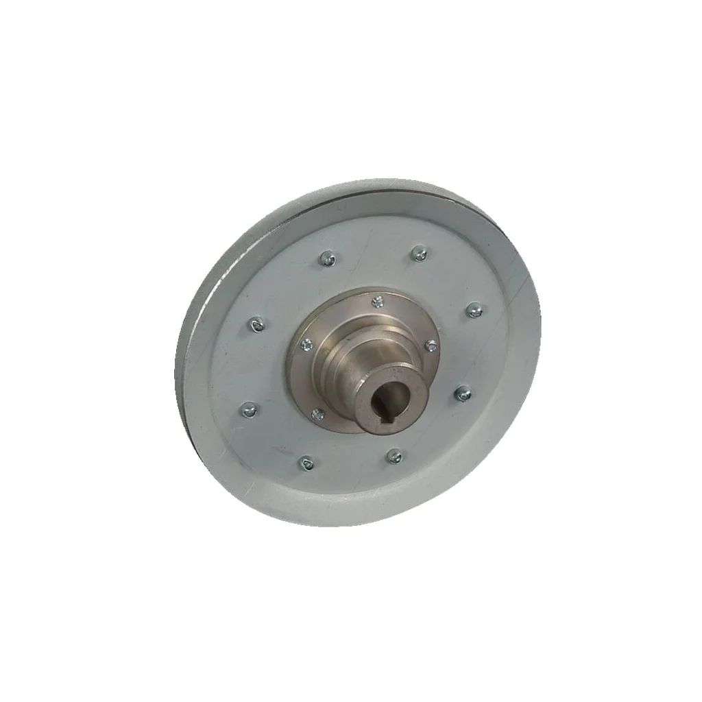 [AMAT2-280590] Ansamblu roată de transmisie E08315ASM