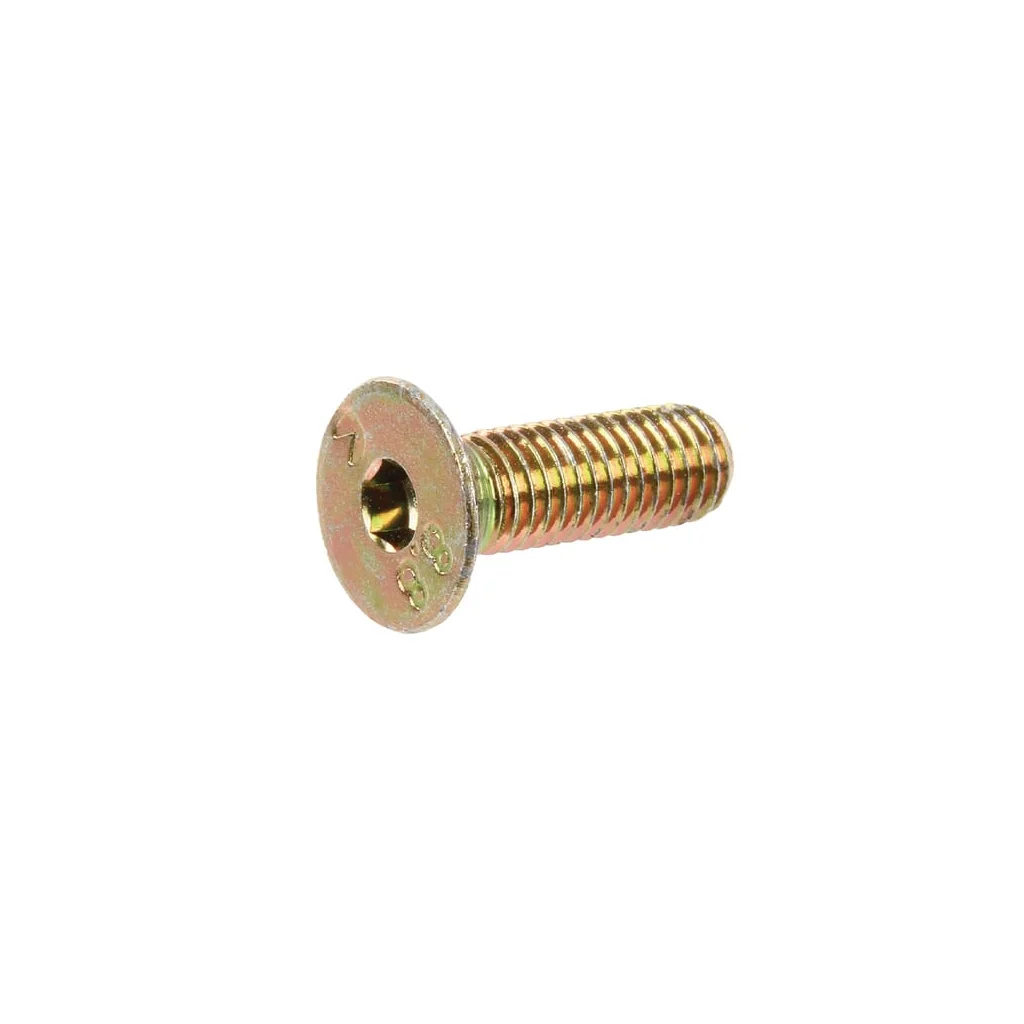 [AMAT2-275402] Șurub din oțel inoxidabil 8x25 DD220