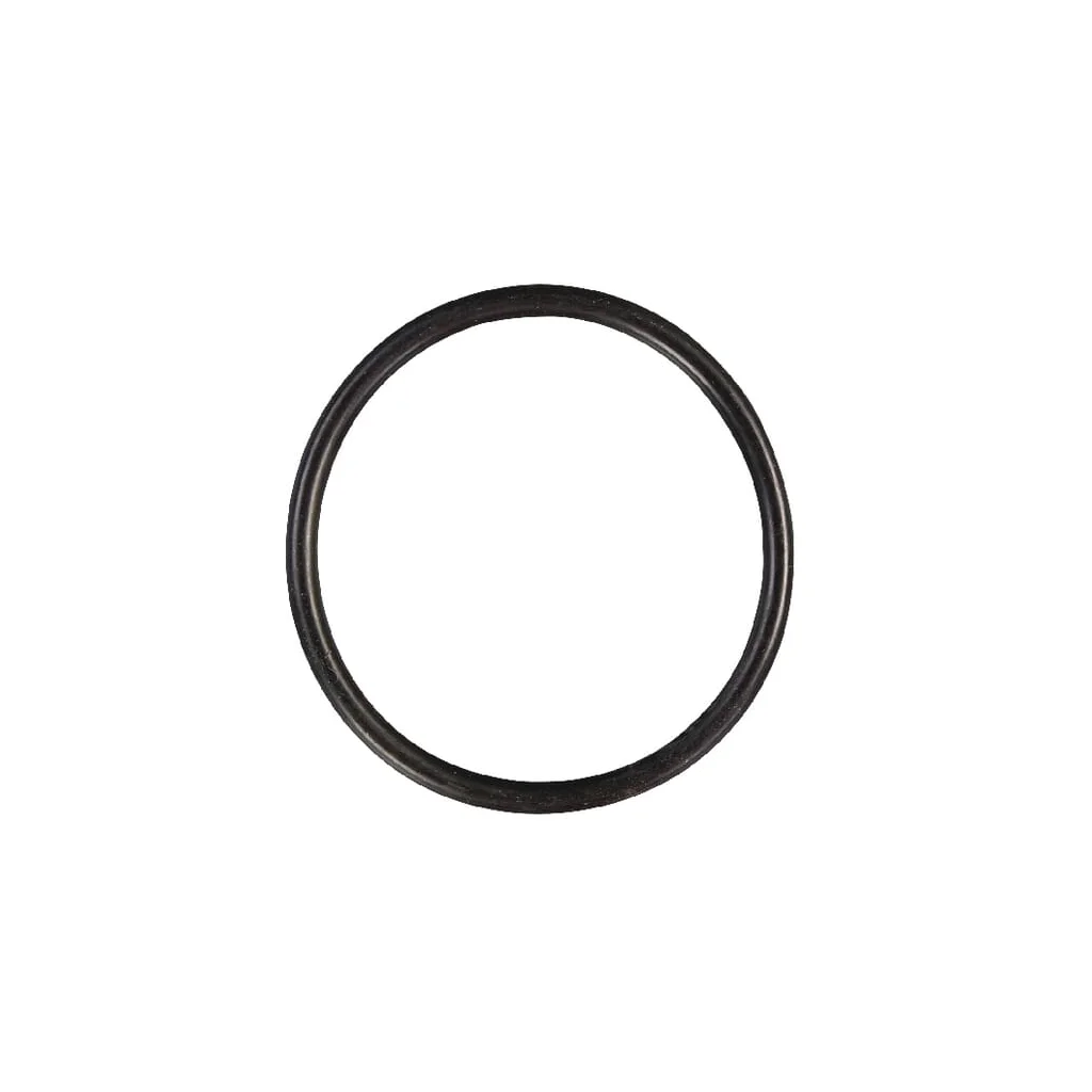 [AMAT2-281005] O-ring 63x55x4 E06177ASM