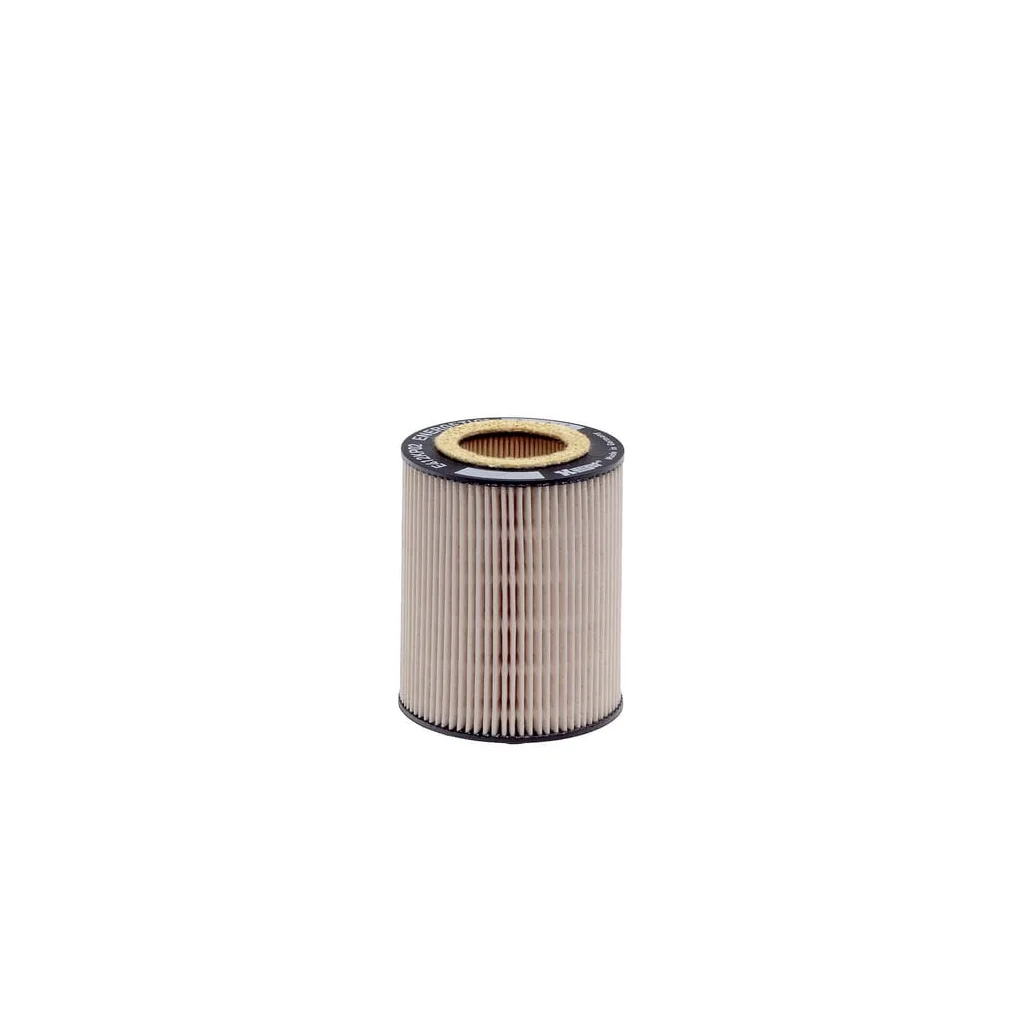 [AMAT2-281543] Filtru de combustibil E412KP02D55
