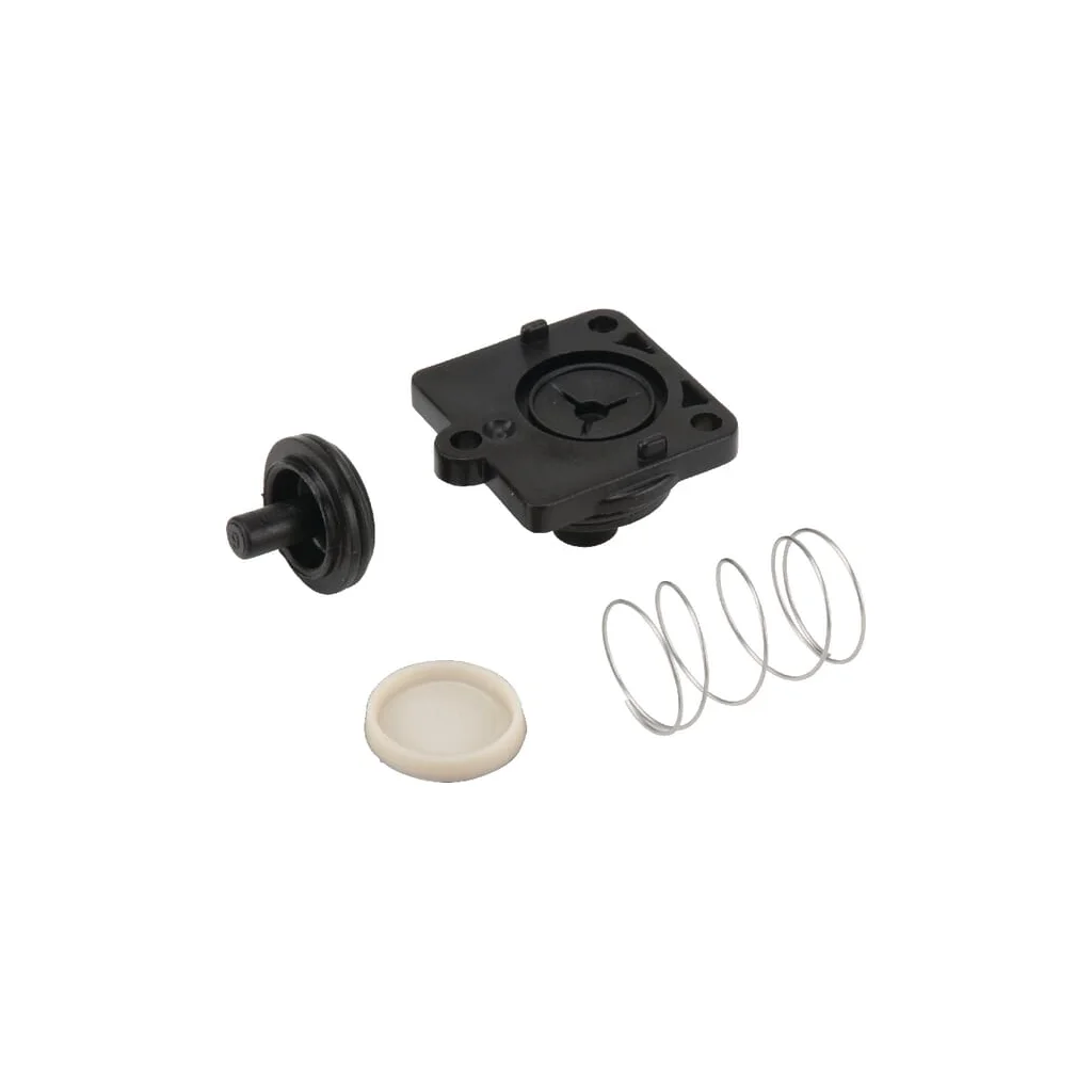 [AMAT2-276351] Supapă de reținere Shurflo DIP9491003
