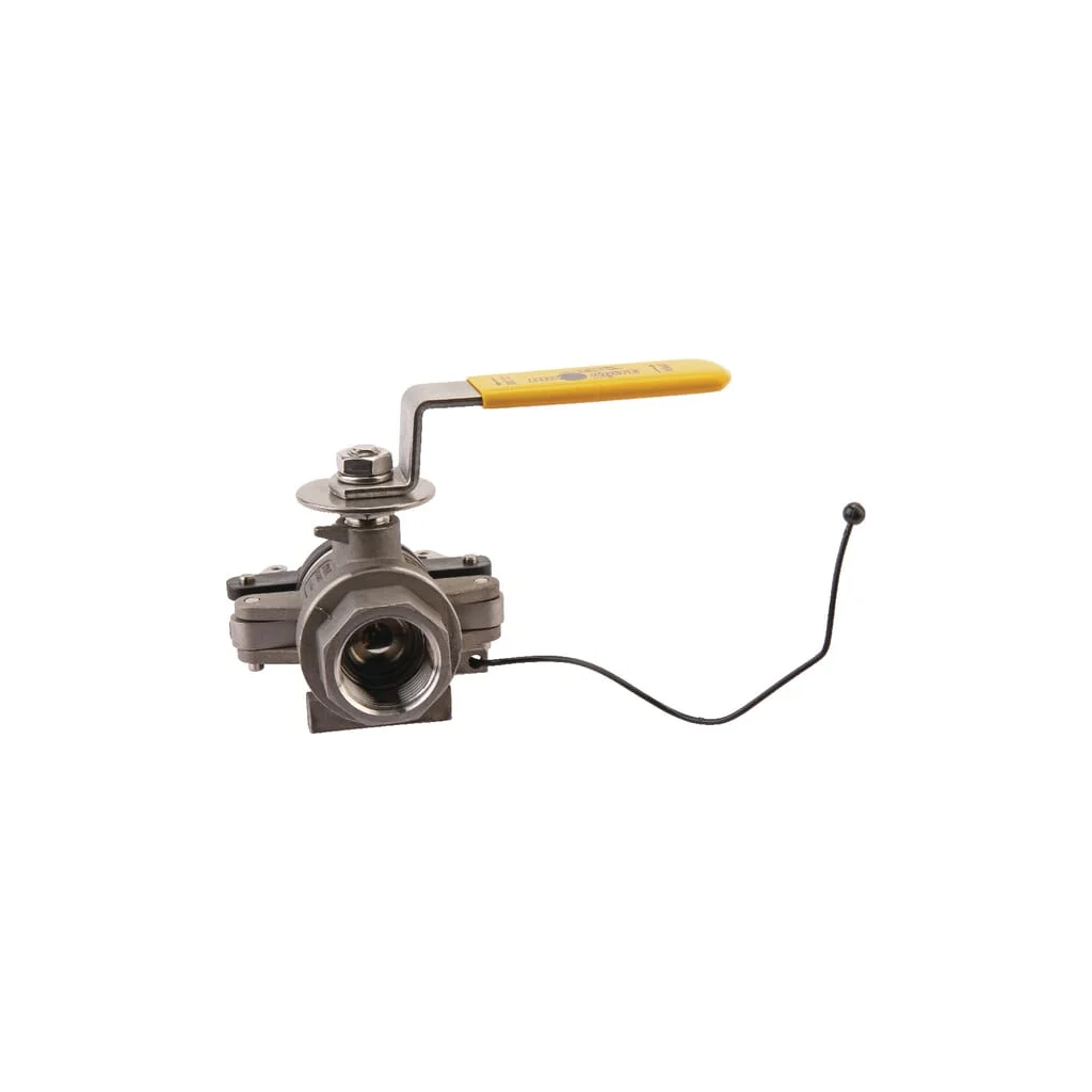 [AMAT2-276411] Cuplă uscată tată 1" DM100ABSS