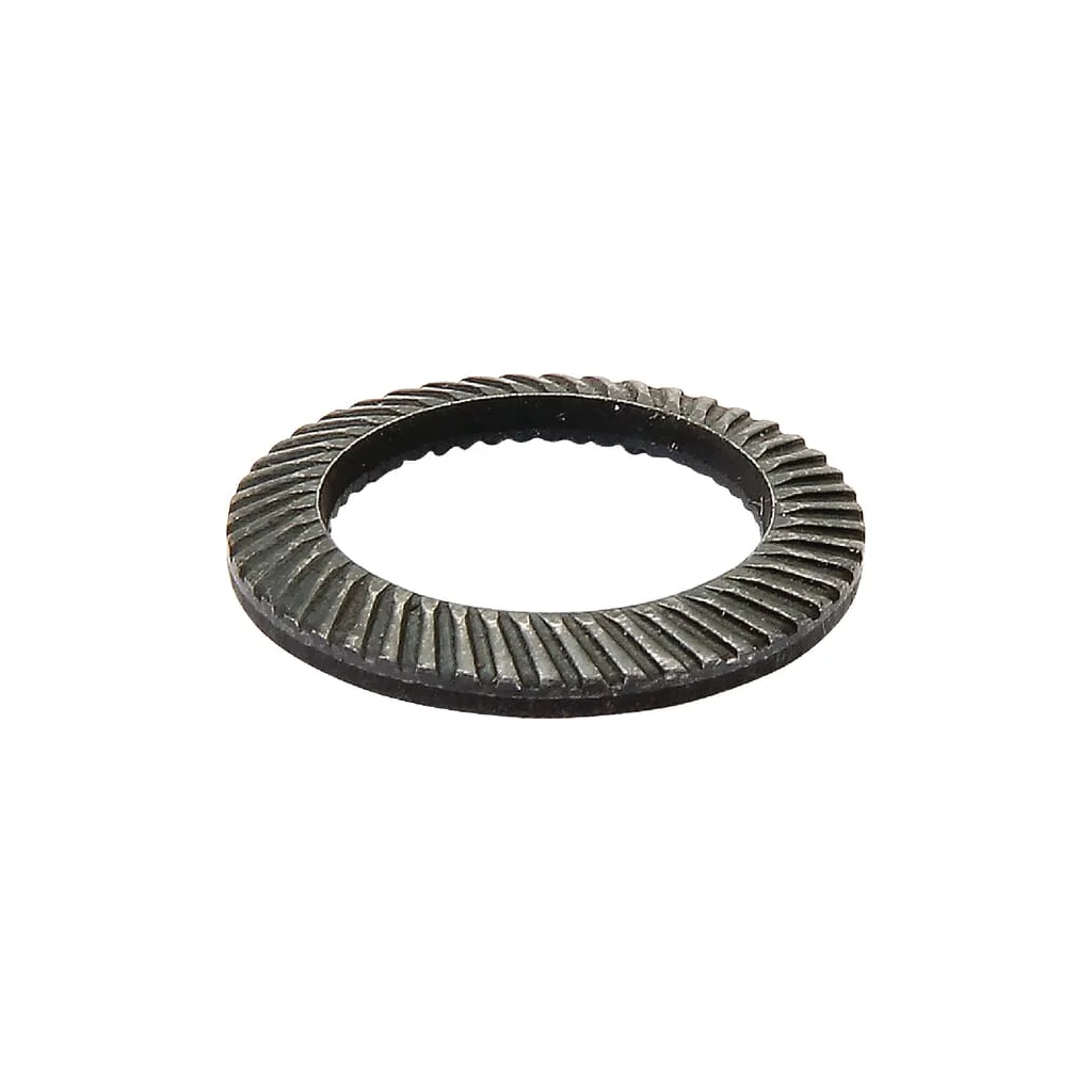 [AMAT2-250313] Şaibă Schnorr VS10 AGW16471