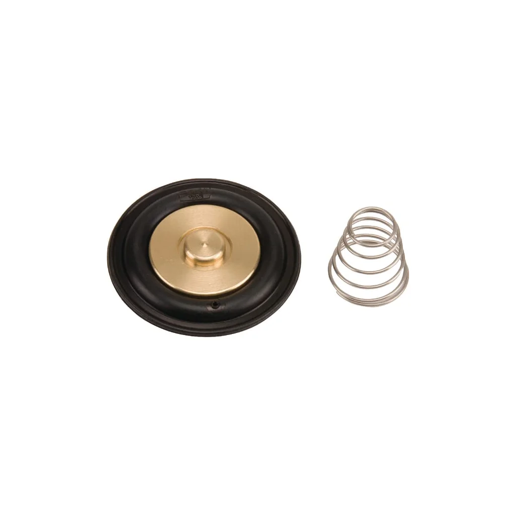 [AMAT2-284348] Set diafragmă ESPSV007