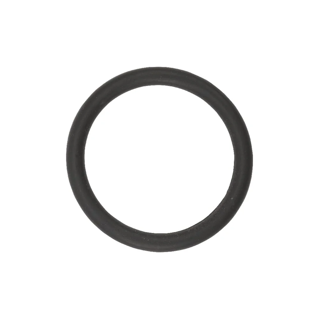 [AMAT2-294384] O-ring 20x2,5mm F612016