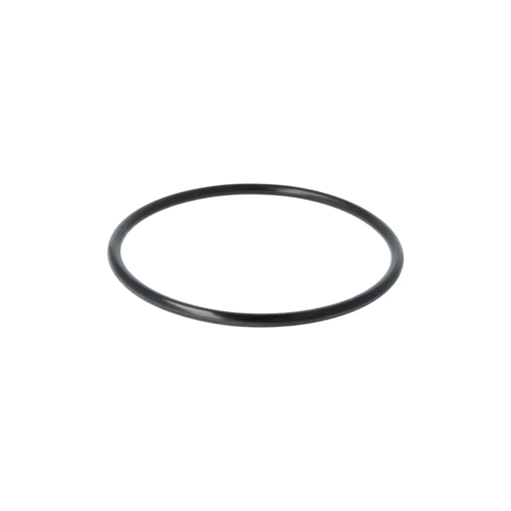 [AMAT2-294891] Garnitură inelară 113,7x5,3 F612294