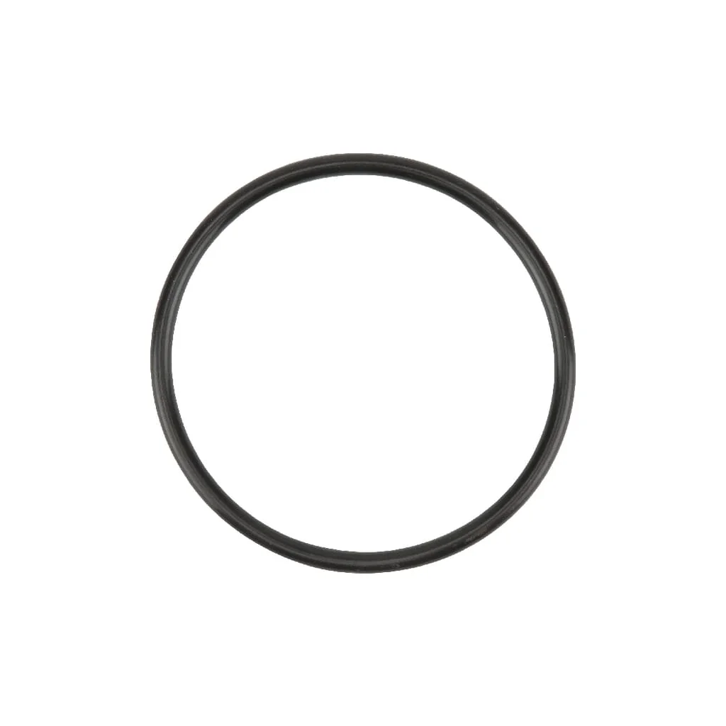 [AMAT2-294915] Garnitură de termostat F716201050030