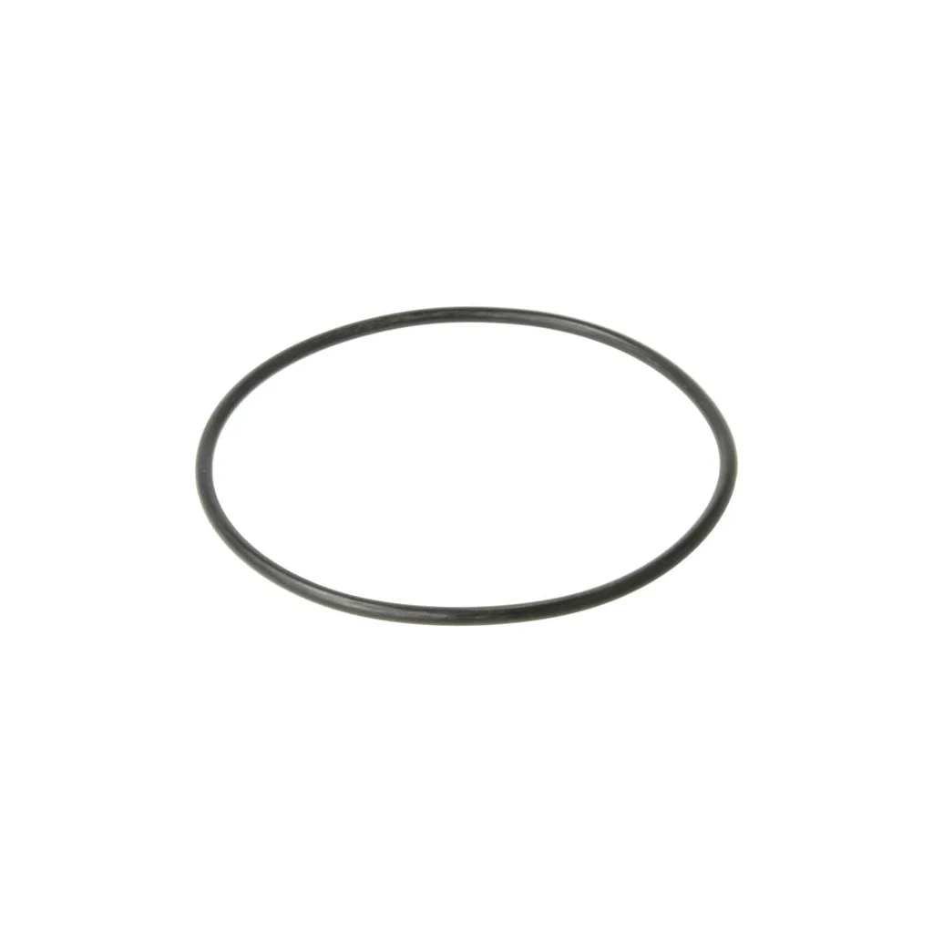 [AMAT2-294967] O-ring 94.85x3.53 F612057