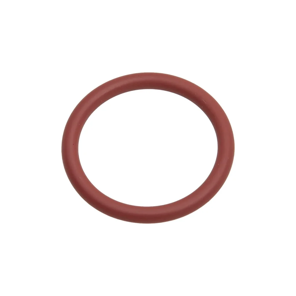[AMAT2-295404] O-ring F916961022100