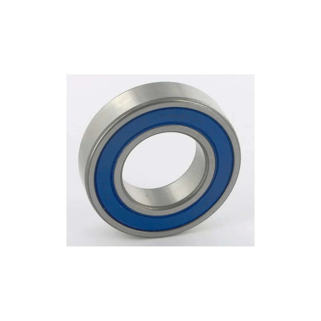 [AMAT2-285772] Rulment cu role 6005 ET27653