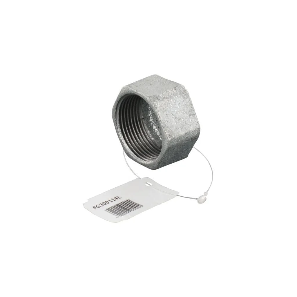 [AMAT2-297457] Capac hexagonal galv. 1 1/4" FG300114L