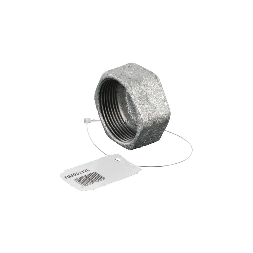 [AMAT2-297713] Dop hexagonal galvanizat 1 1/2" FG300112L