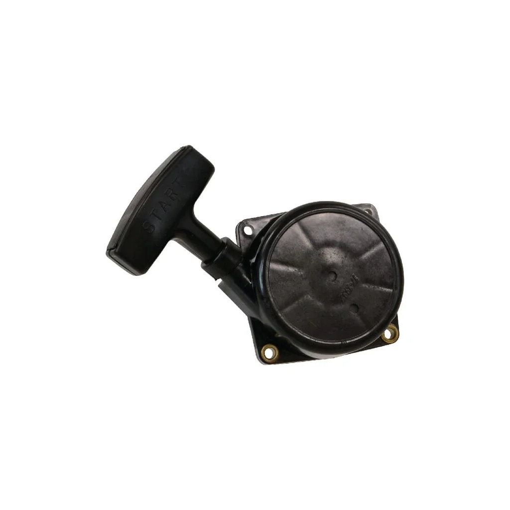 [AMAT2-299252] Ansamblu starter pentru Echo FGP430058