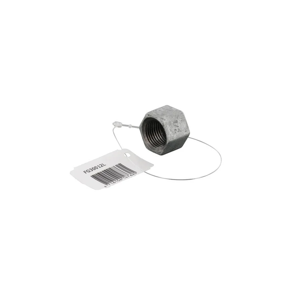 [AMAT2-297994] Capac hexagonal galv. 1/2" FG30012L