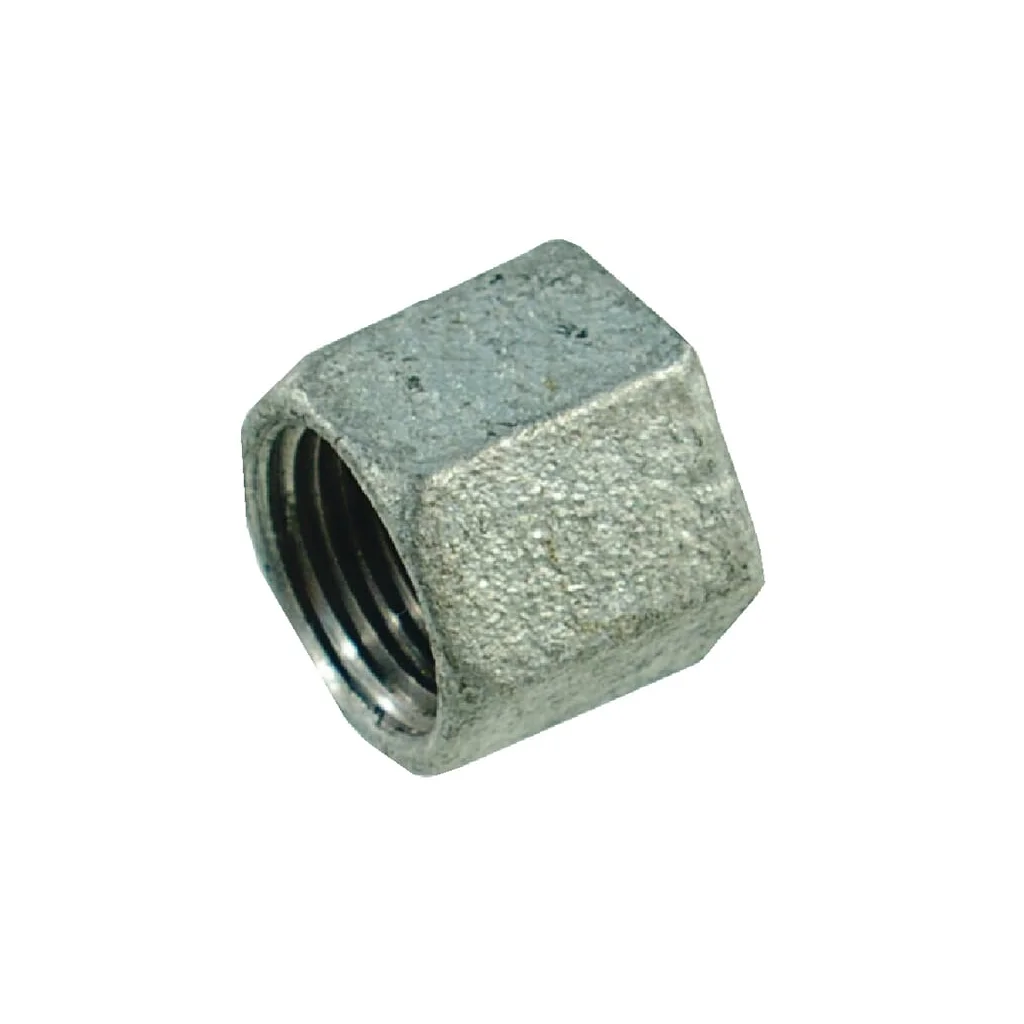 [AMAT2-298096] Capac hexagonal galv. 3/4" FG30034