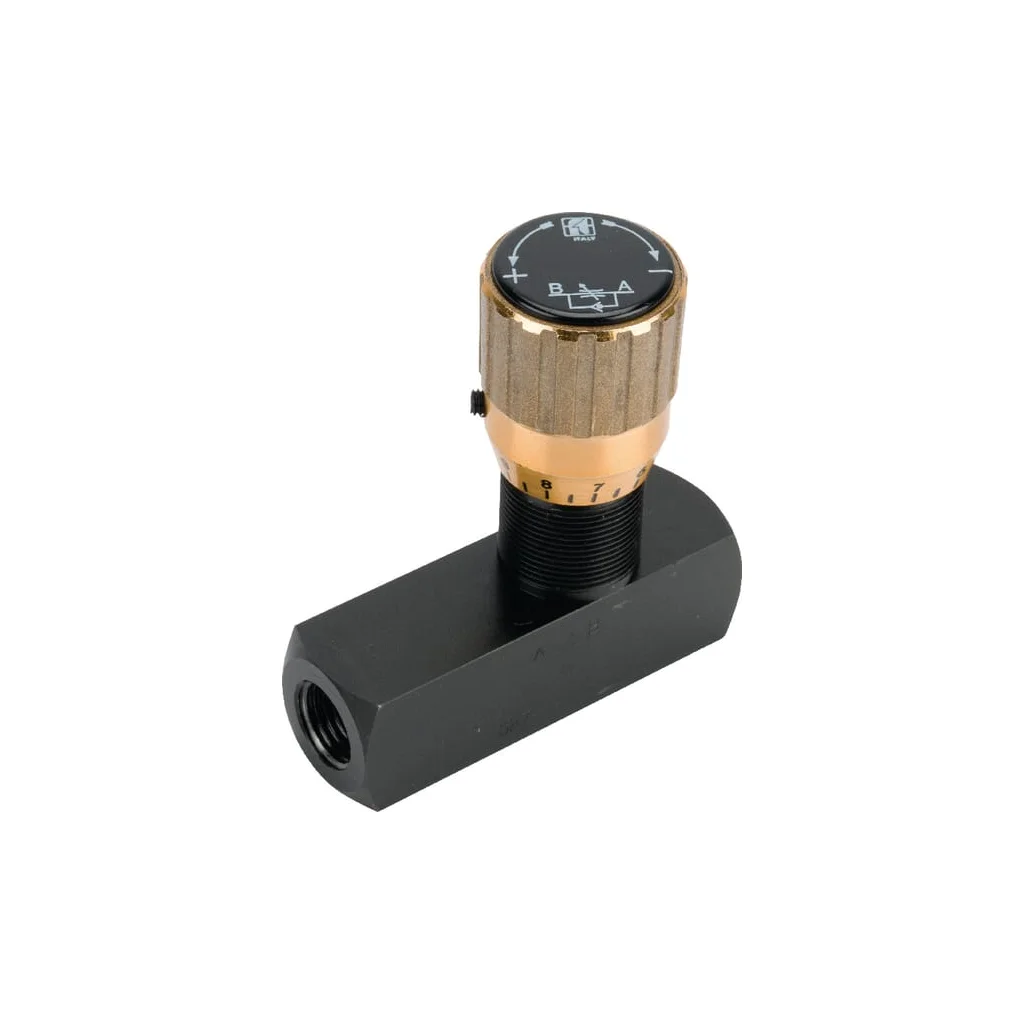 [AMAT2-301627] Supapă de reținere a clapetei de accelerație FT257518