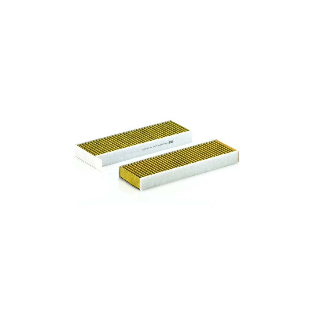 [AMAT2-302471] Filtru cabină FP290032