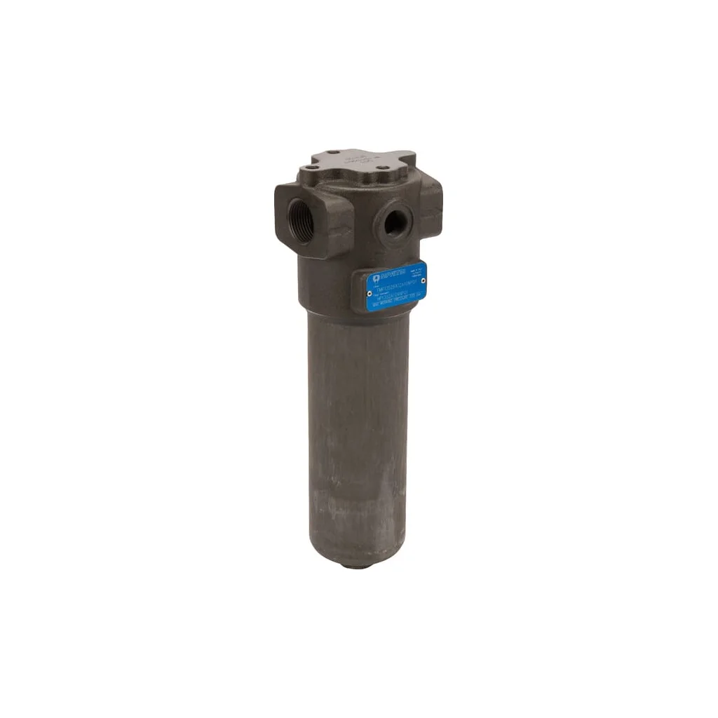 [AMAT2-302518] Filtru de presiune 1 "BSP 2-B-A-G2-A10-N FMP1352A10N
