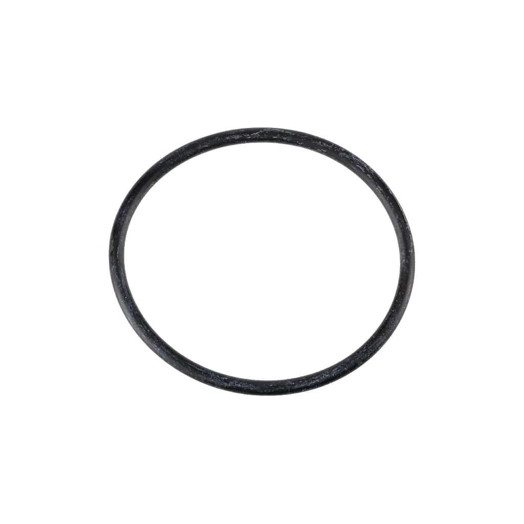 [AMAT2-303159] O-ring 58.74x3.53mm EPDM G10073