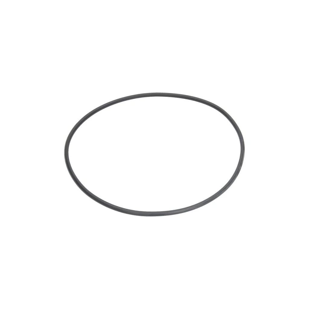 [AMAT2-303657] Garnitură 202,87x2,62mm 70 shore negru Arag G11069