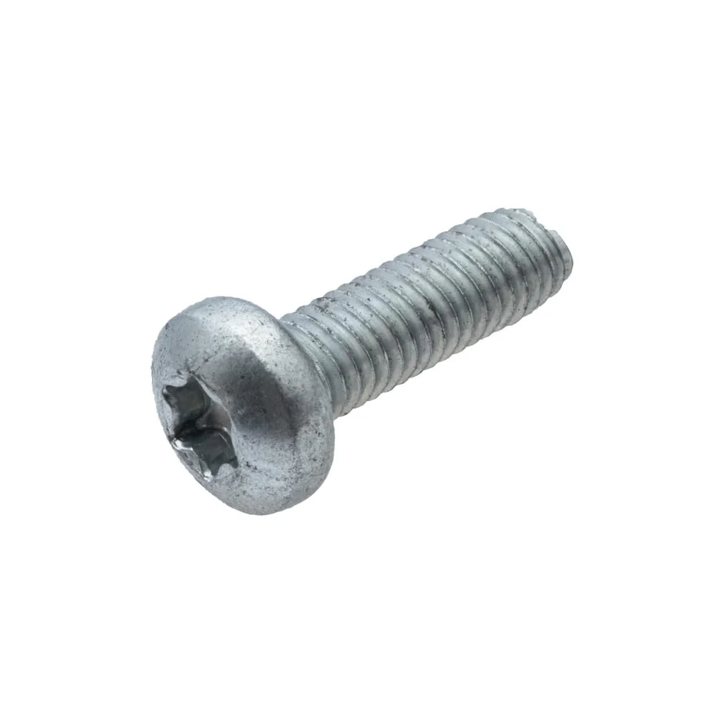 [AMAT2-304399] Șurub autofiletant Torx (10x) G00009148