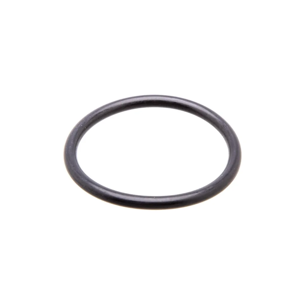 [AMAT2-304461] Garnitură inelară G 1''1/4 G001046