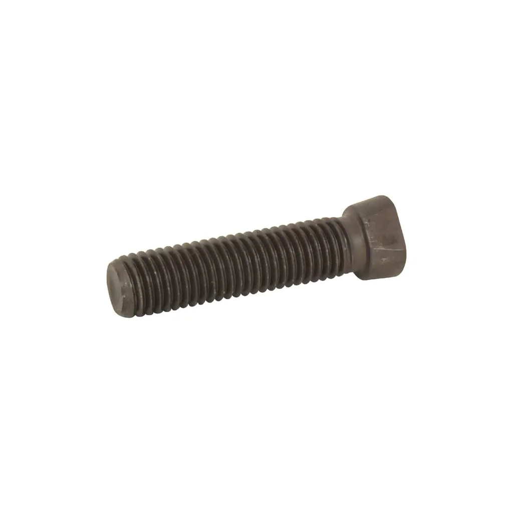 [AMAT2-326383] Șurub M12x55 12.9 KK013255