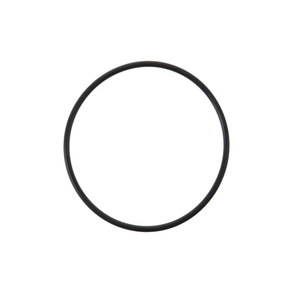 [AMAT2-326863] O-ring D74.5X3 KK011824