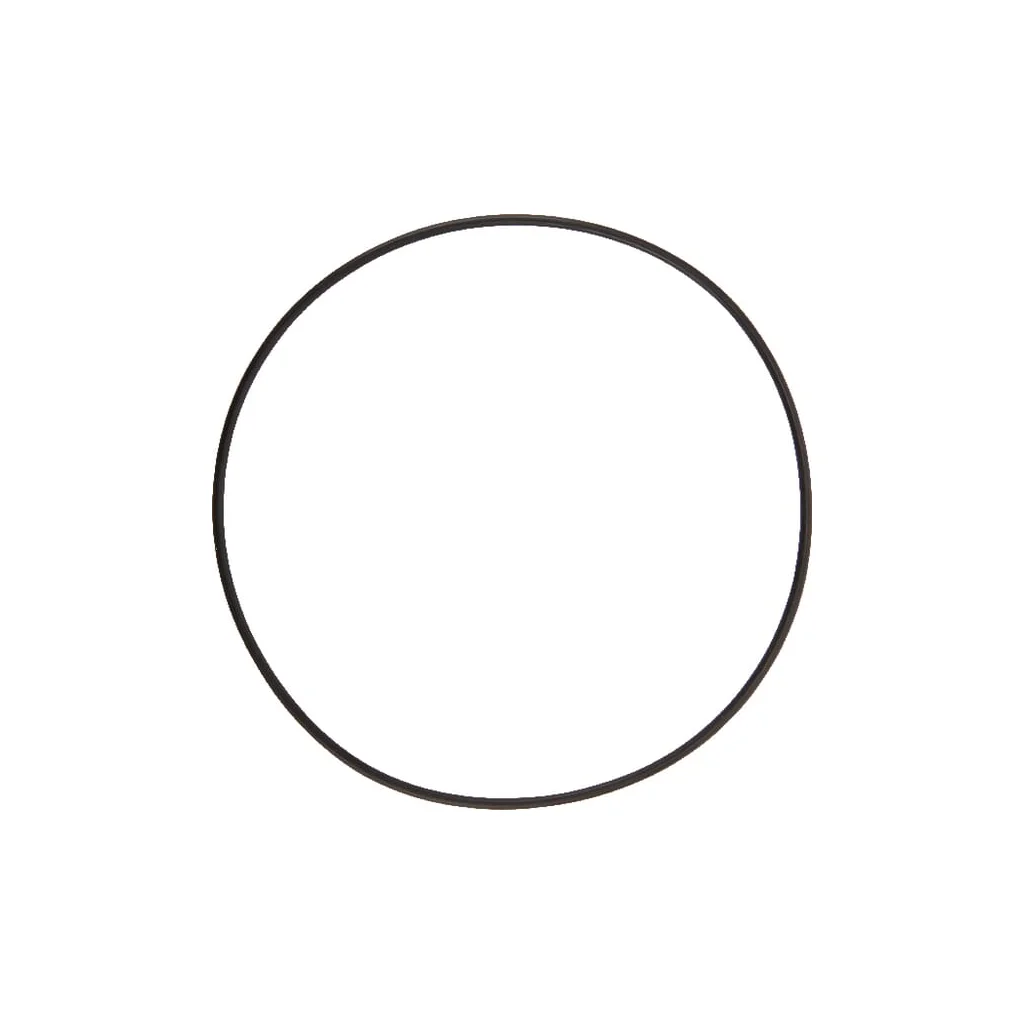 [AMAT2-332778] O-ring KT99250597