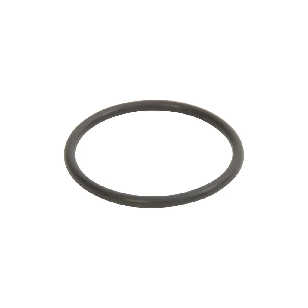 [AMAT2-332925] O-ring KT99420231