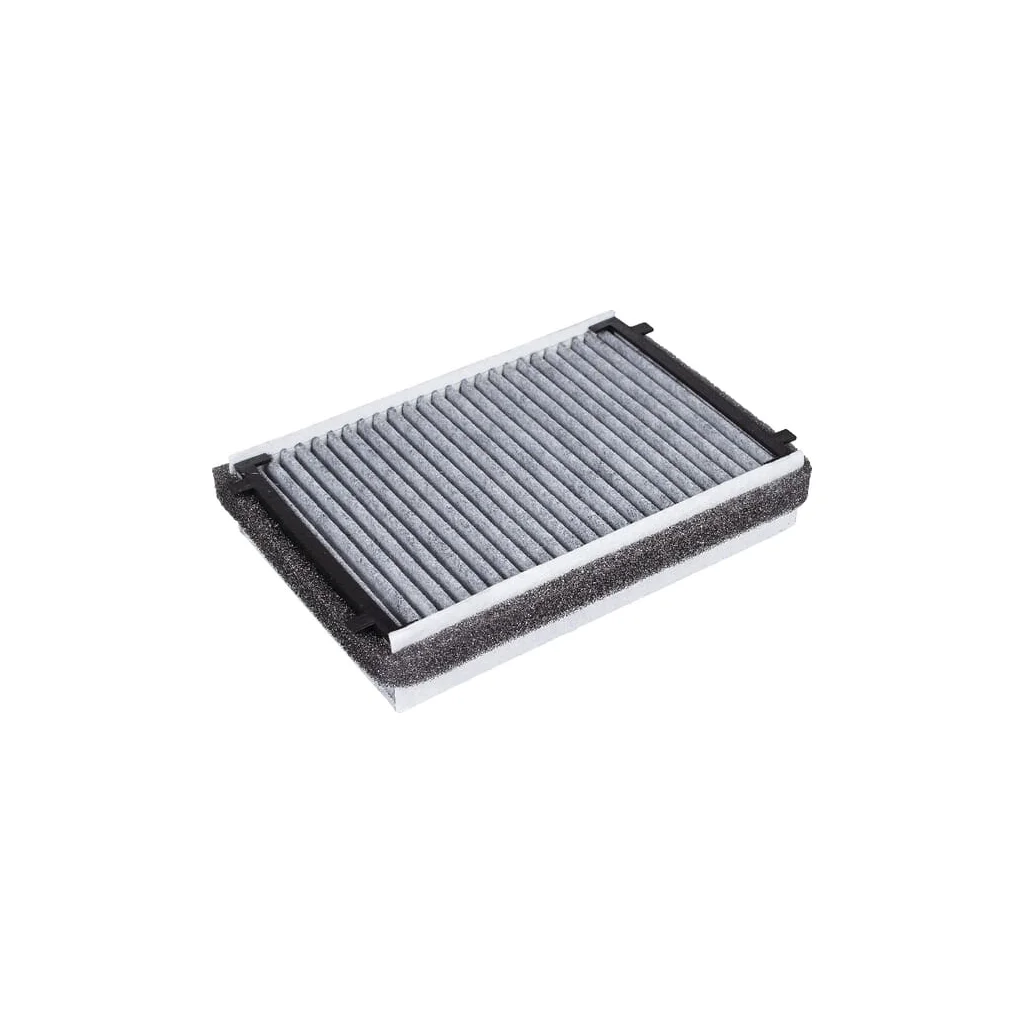 [AMAT2-334859] Filtru de cărbune activ L209778