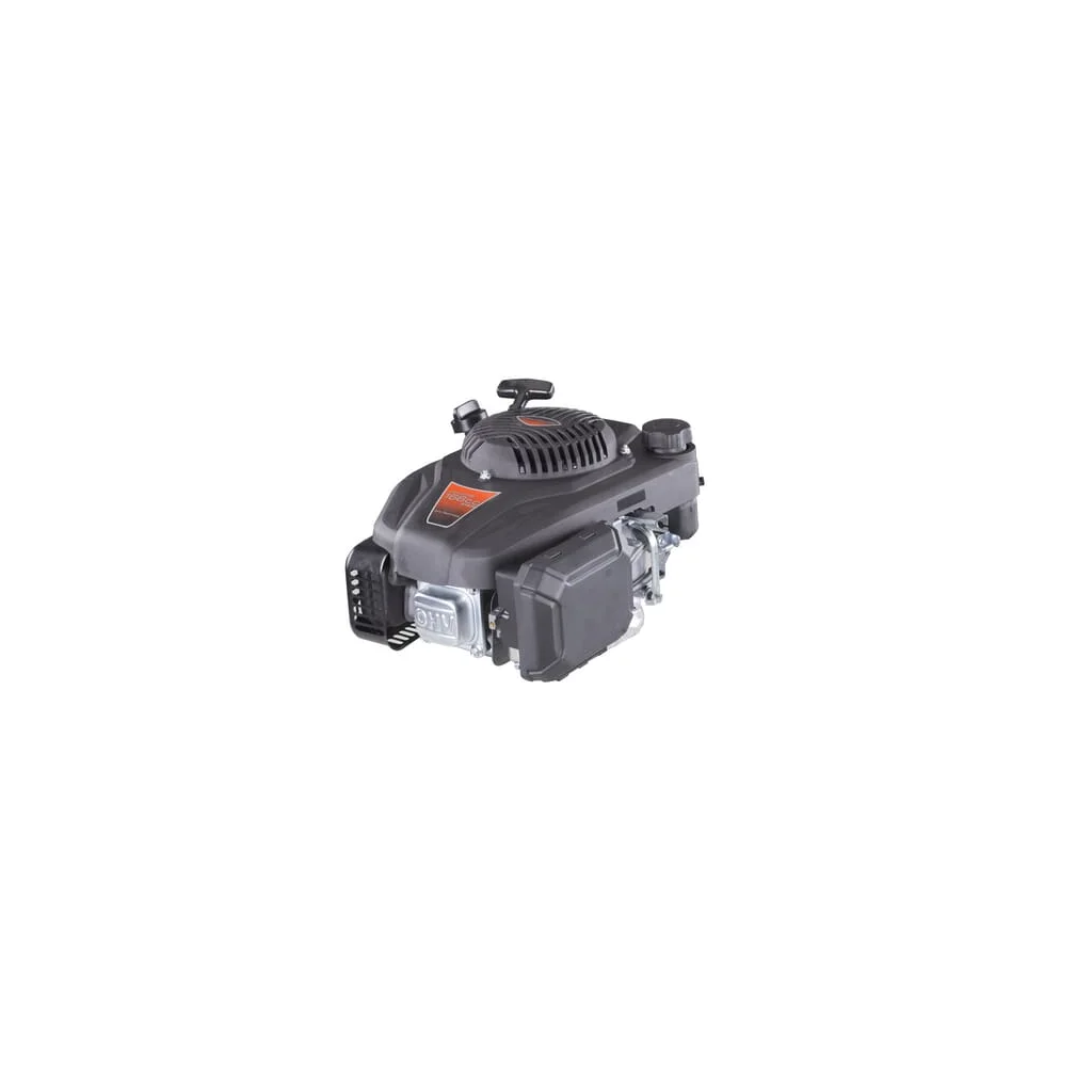 [AMAT2-335451] Motor, LC1P65FE-2, 3,88cp, 1 cilindru, 22,2x80, Loncin LC1P65FE2