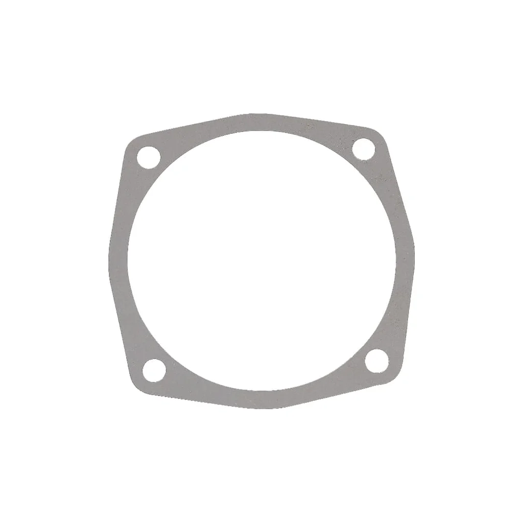 [AMAT2-340177] Garnitură 0,1mm Maschio M27100133R