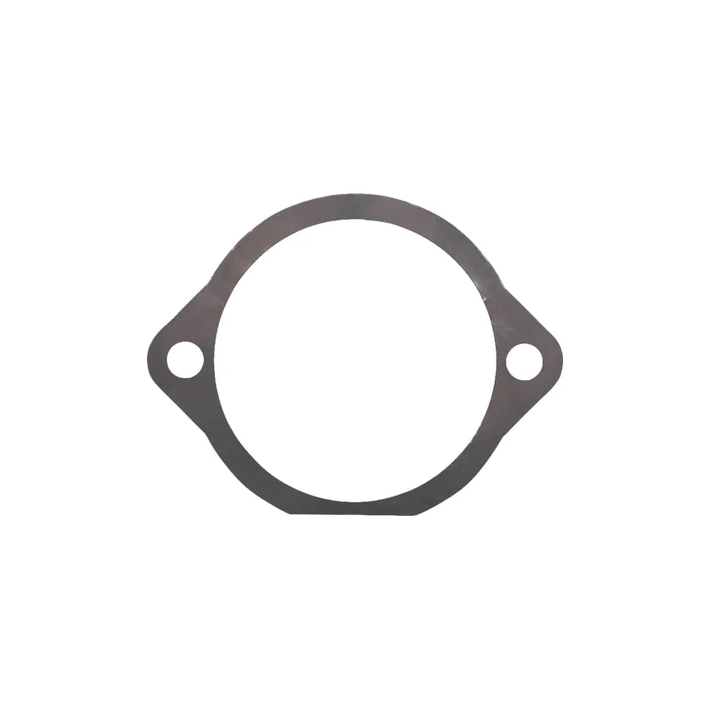 [AMAT2-340723] Garnitură 0,05 mm Maschio M66100126R