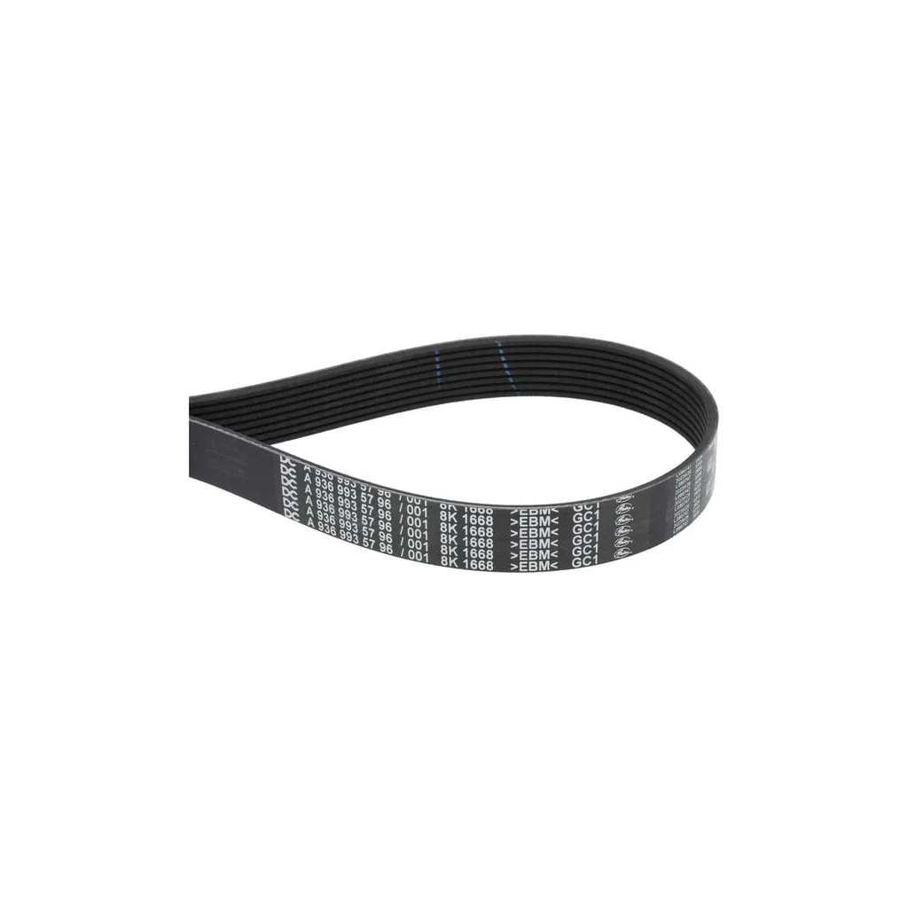 [AMAT2-341537] Curea de alternator MA53012452
