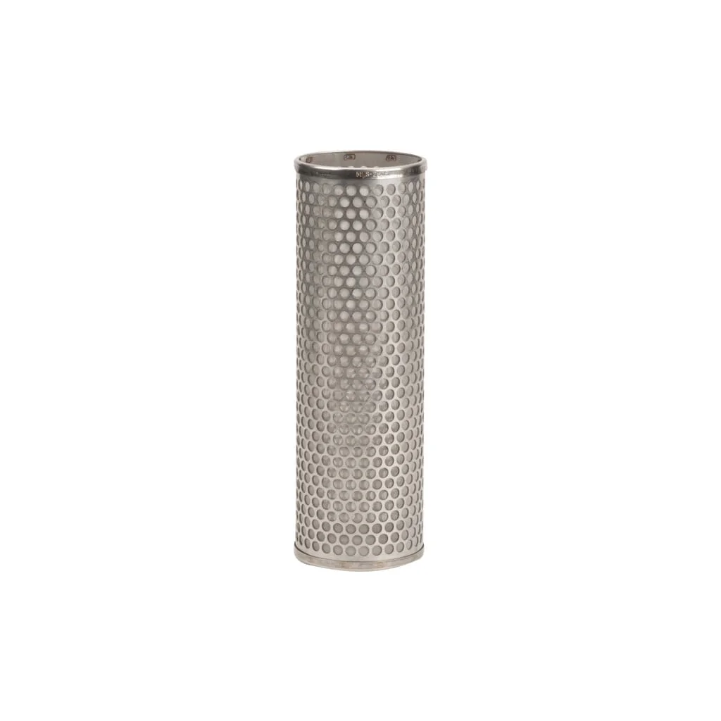 [AMAT2-343139] Element filtrant 50 mesh SS 2" Port Complet MLS250SS