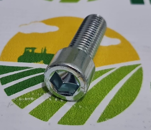 [AMAT1-26352] Surub cu locas de imbus M14X40