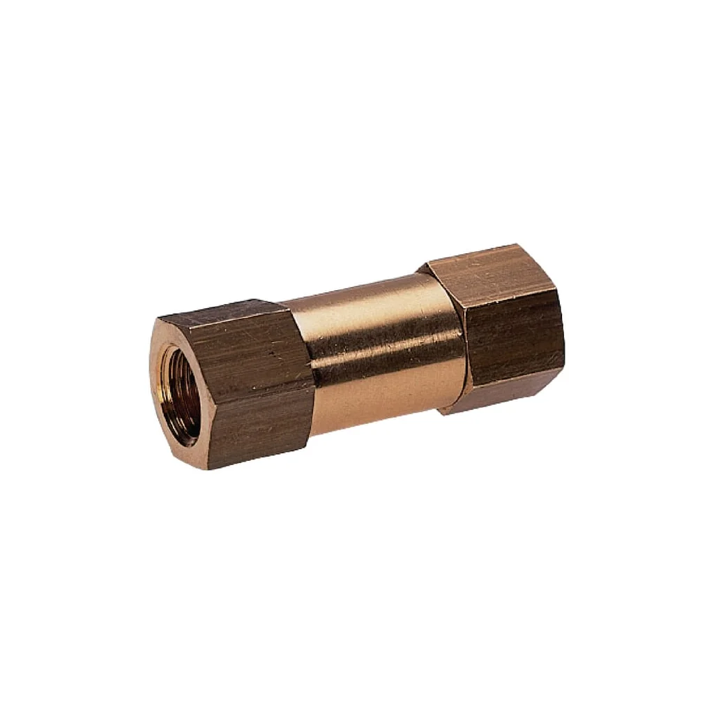 [AMAT2-348383] Ventil antiretur NRV12