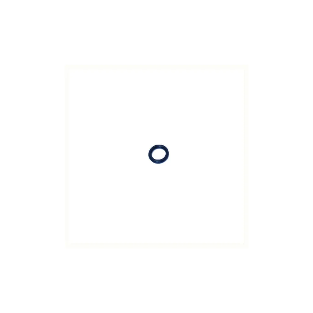 [AMAT2-354321] O-ring NWS01299