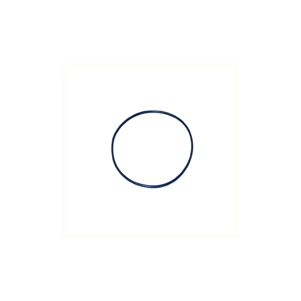[AMAT2-354369] O-ring NWS01118
