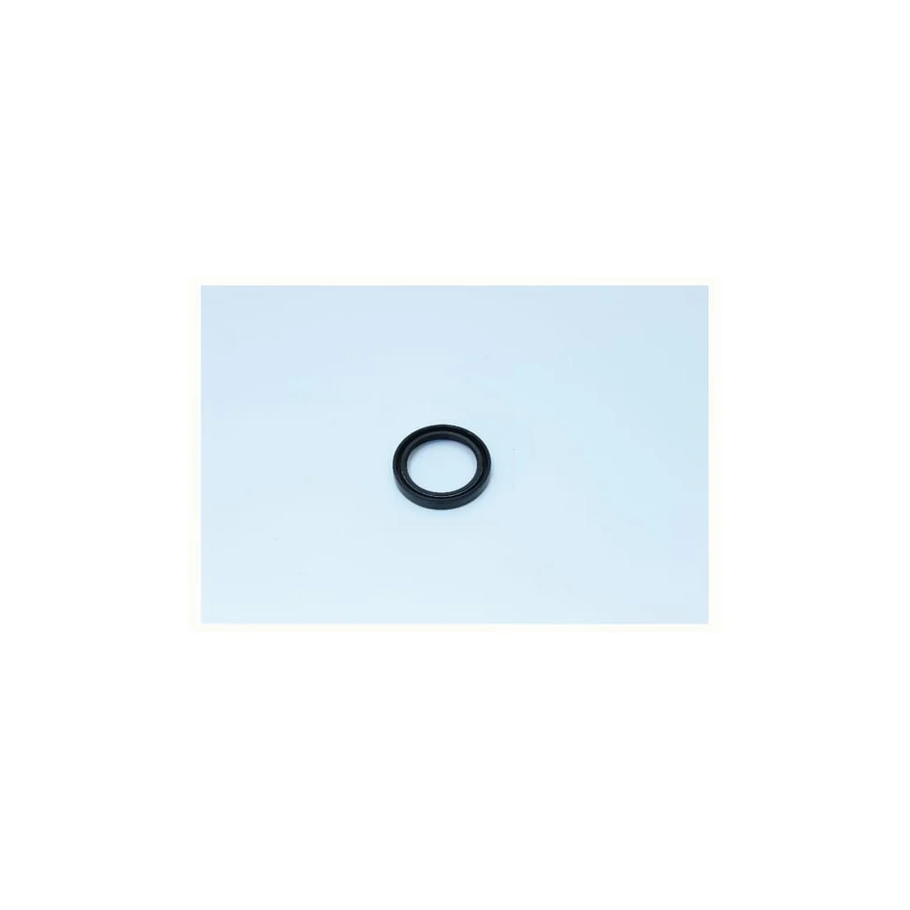 [AMAT2-354809] Garnitură ulei NWS00889